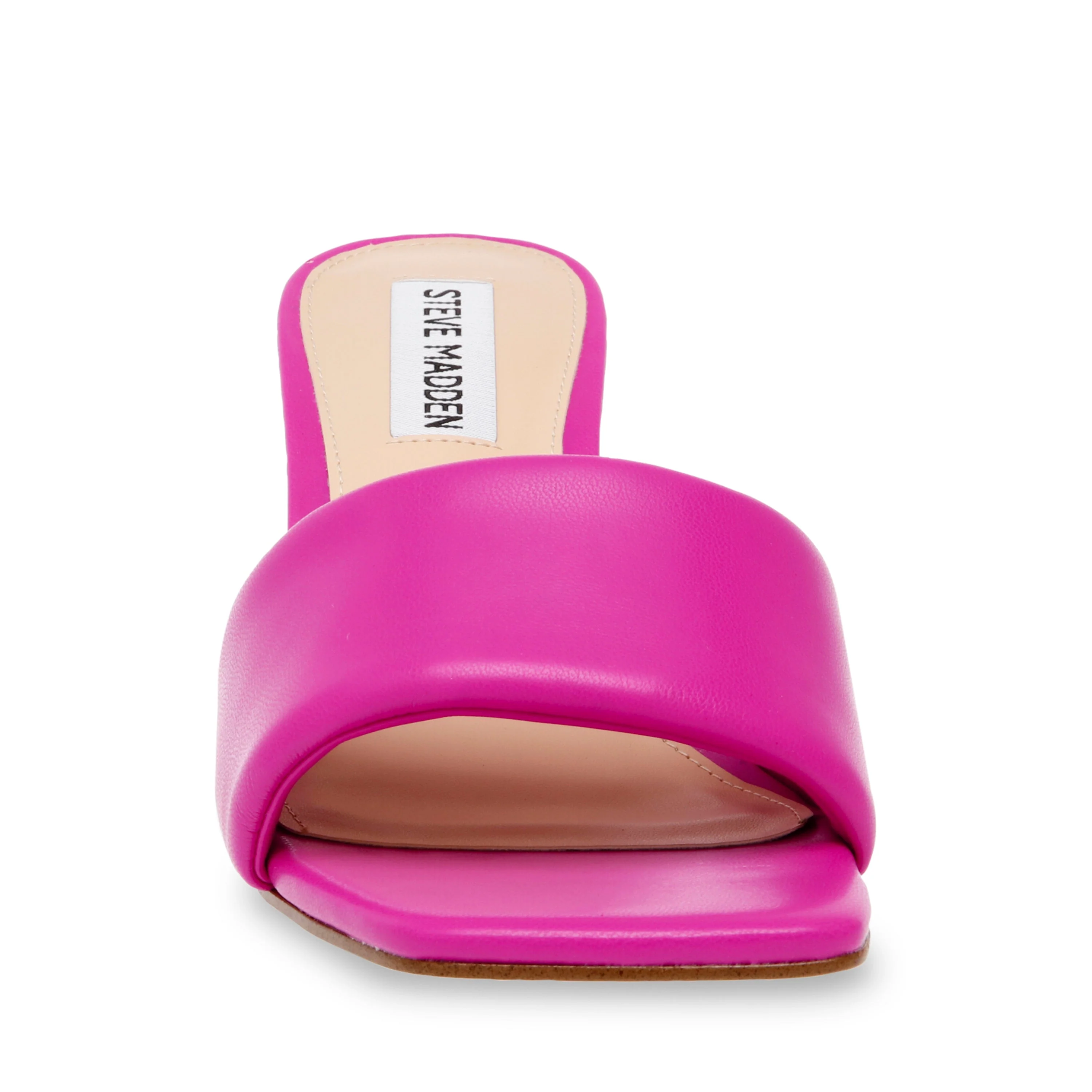 LOVEBIRD MAGENTA - Image 4